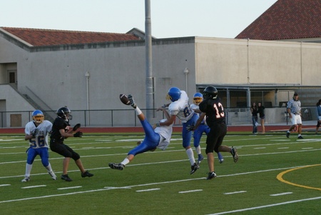 Enlarge photo 41
