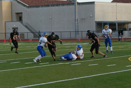 Enlarge photo 42