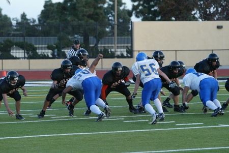 Enlarge photo 43
