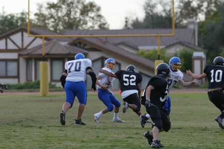 Enlarge photo 30