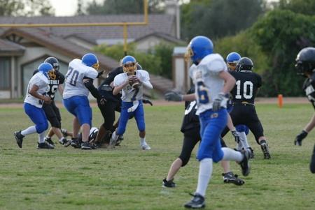 Enlarge photo 31