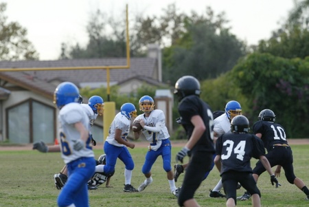 Enlarge photo 33