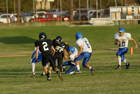 Enlarge photo 44