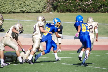 Enlarge photo 45