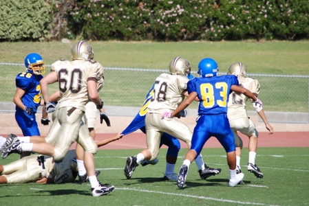 Enlarge photo 46
