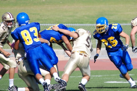 Enlarge photo 47