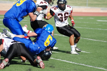 Enlarge photo 31