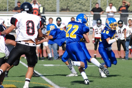 Enlarge photo 35