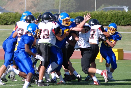 Enlarge photo 44