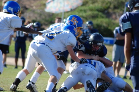Enlarge photo 45