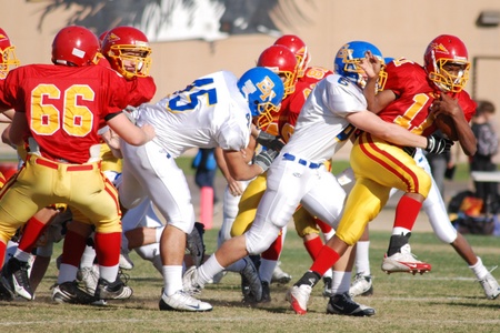 Enlarge photo 14