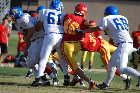 Enlarge photo 47