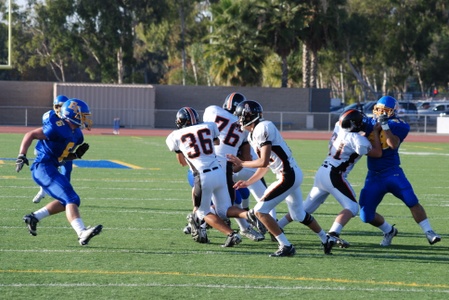 Enlarge photo 46