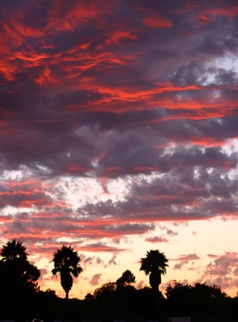 Enlarge photo 39