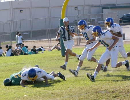 Enlarge photo 46