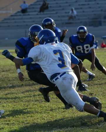 Enlarge photo 48