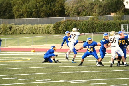 Enlarge photo 6