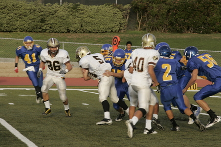 Enlarge photo 44