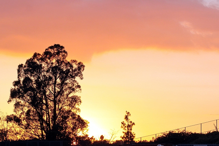 Enlarge photo 33