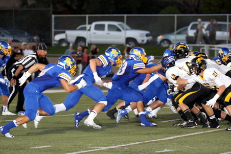 Enlarge photo 41