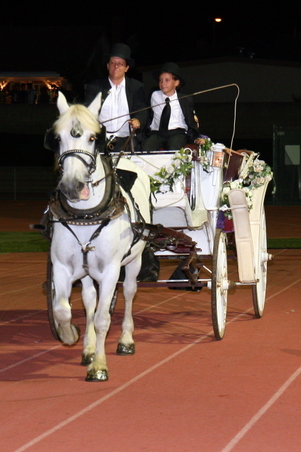 Enlarge photo 58