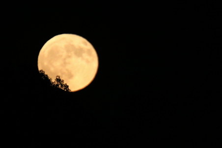 Enlarge photo 99