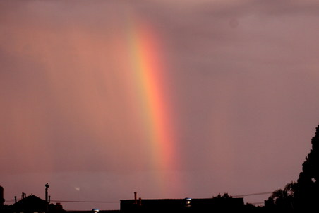 Enlarge photo 23