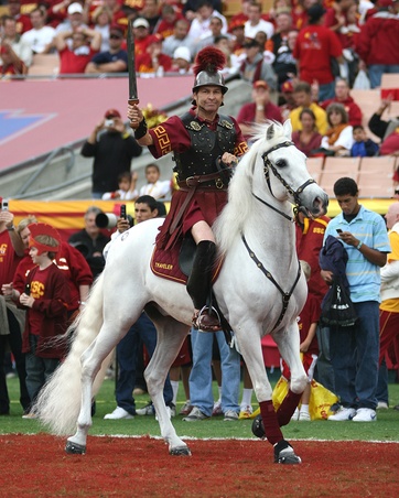 Enlarge photo 47