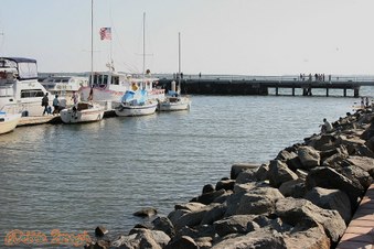Enlarge photo 78