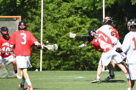 Enlarge photo 33