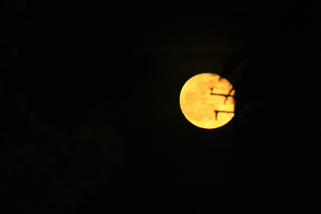 Enlarge photo 201