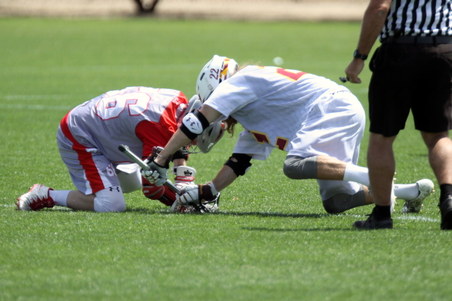 Enlarge photo 49