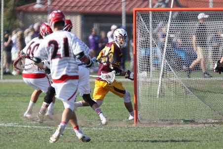 Enlarge photo 243