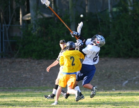 Enlarge photo 31