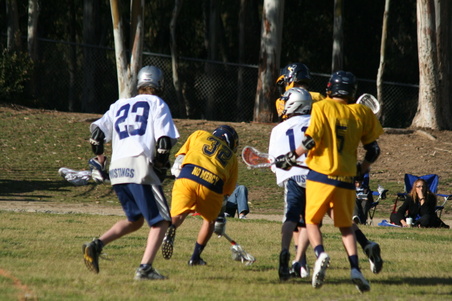 Enlarge photo 20