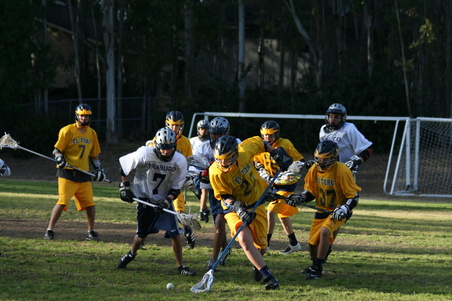 Enlarge photo 37