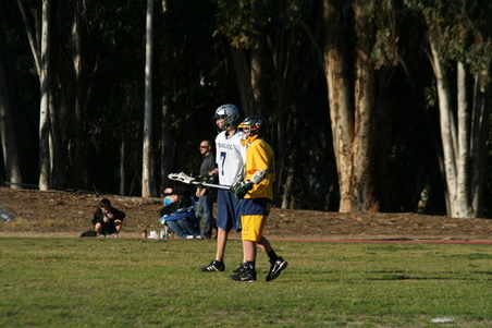 Enlarge photo 43