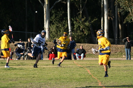 Enlarge photo 49