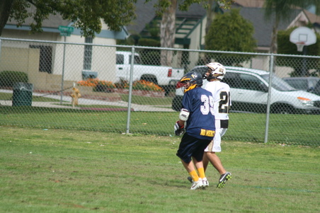 Enlarge photo 16