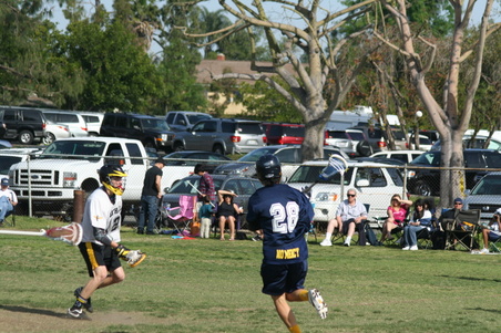 Enlarge photo 49