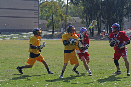 Enlarge photo 8