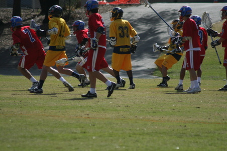 Enlarge photo 20