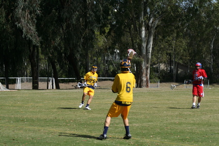 Enlarge photo 34