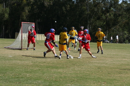 Enlarge photo 51