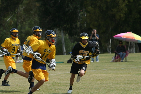 Enlarge photo 43