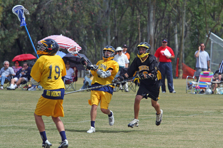 Enlarge photo 49