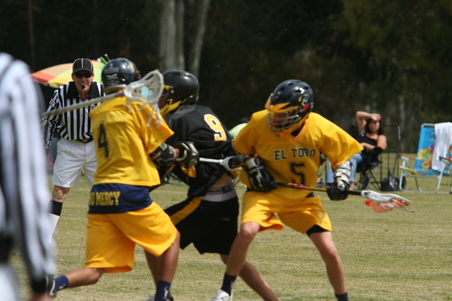 Enlarge photo 51
