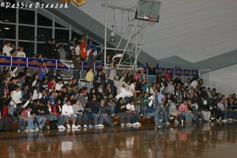 Enlarge photo 43
