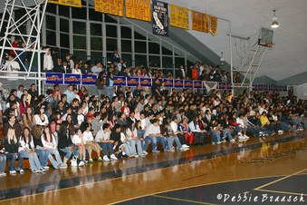 Enlarge photo 64