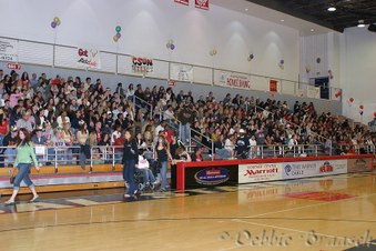 Enlarge photo 59